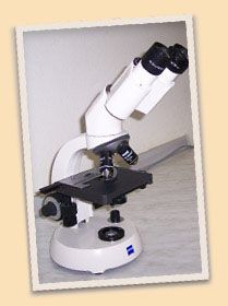 Labor-  Mikroskopie